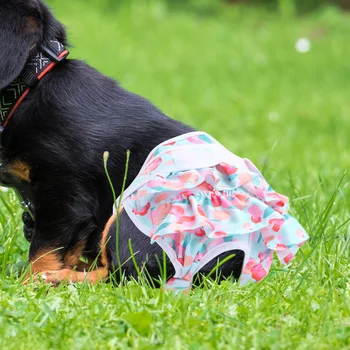 Пелени за домашни любимци Малки кучешки период бикини печат санитарна кърпа за многократна употреба женски пелени против тормоз панталони за кученце